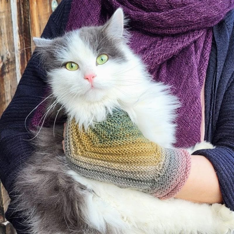 Fertige Handwärmer Variante 1 mit Katze