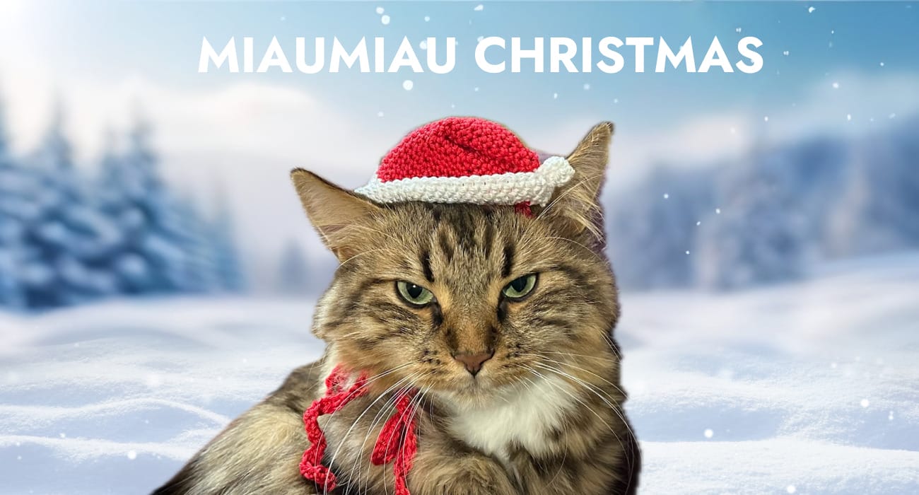 Weihnachtshut Häkeln