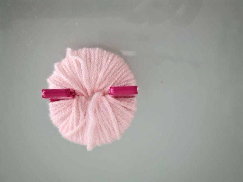 0013_PomponUrC4RG6AmIEZU