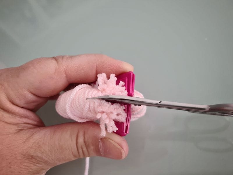 0014_pomponrQekT8Dy76m6J