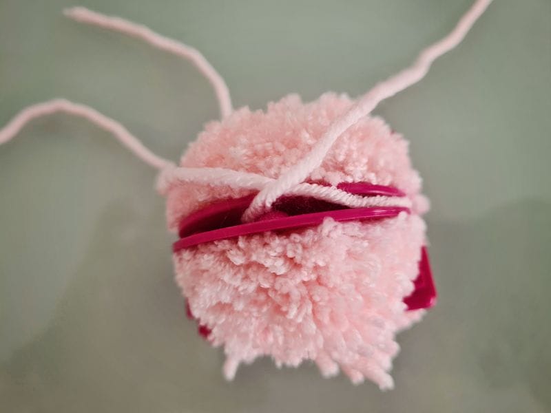 0016_pomponnDPvHMxsKPe7C