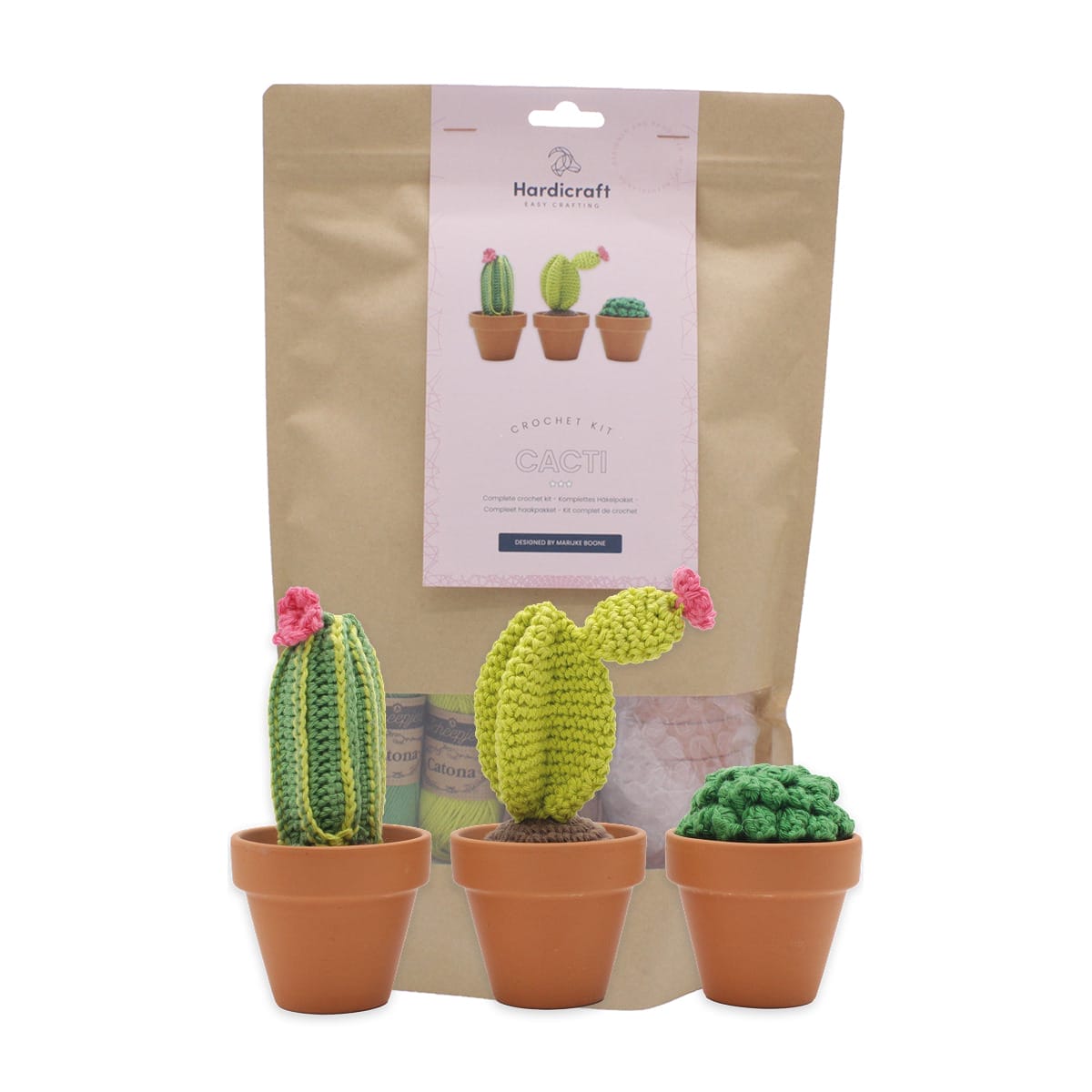 HC-40MB013 Cacti Packaging 1