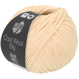 COOL WOOL BIG - 64 - MUSCHEL YA-641016