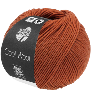 COOL WOOL - 67 - ZIMTBRAUN YA-672125