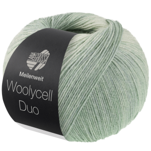 MEILENWEIT 100 WOOLYCELL DUO - 1425 - SALBEI-/HEU-/PASTELLGRÜN YA-14256007