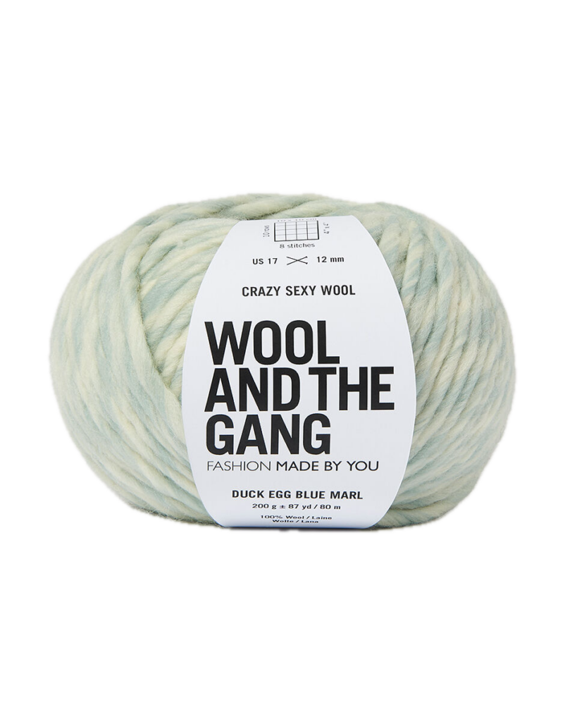 WOOL AND THE GANG Crazy Sexy Wool DUCK EGG BLUE YA574606138